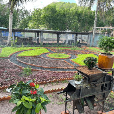 Vườn Quê Việt