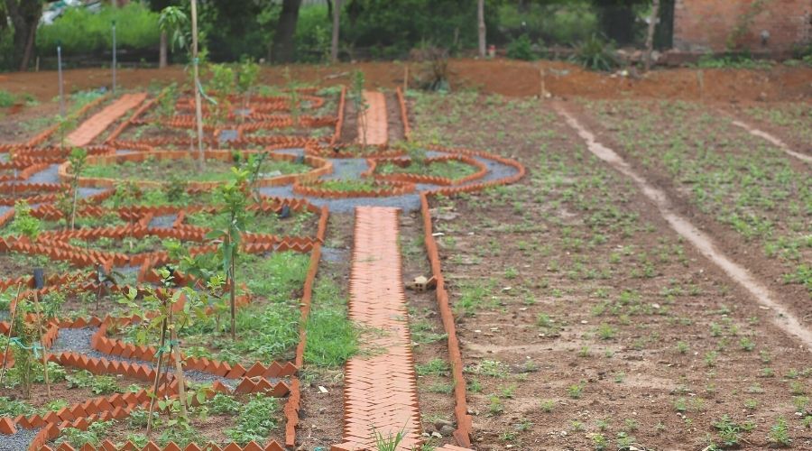 Mô hình vườn ao chuồng  bước đi bền vững cho nông dân